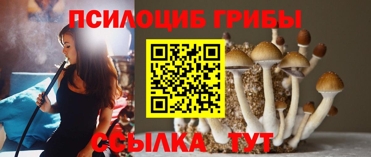 Псилоцибиновые грибы Psilocybine cubensis  Псилоцибиновые грибы GOLDEN TEACHER  Хабаровск  Вход с VPN 
